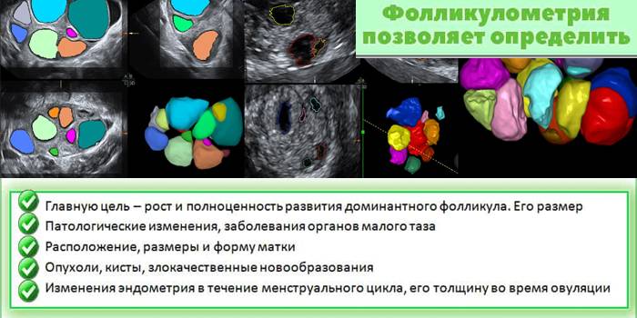 Что выявляет исследование