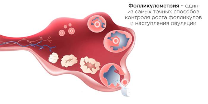 Цели исследования