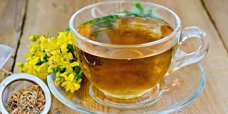 Чай из зверобоя
