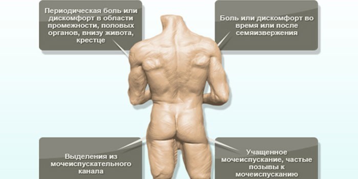 Первые симптомы простатита
