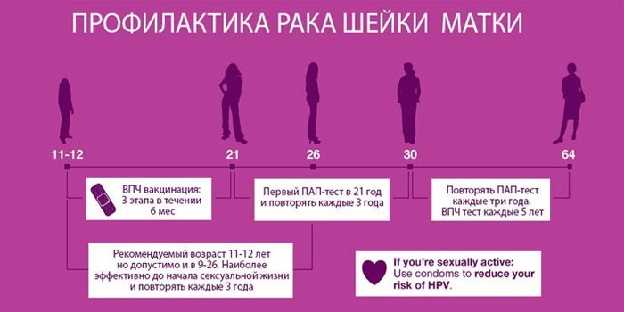 Профилактика рака шейки матки