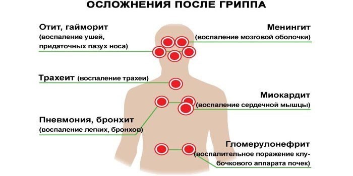 Действие вируса гриппа на органы и системы организма