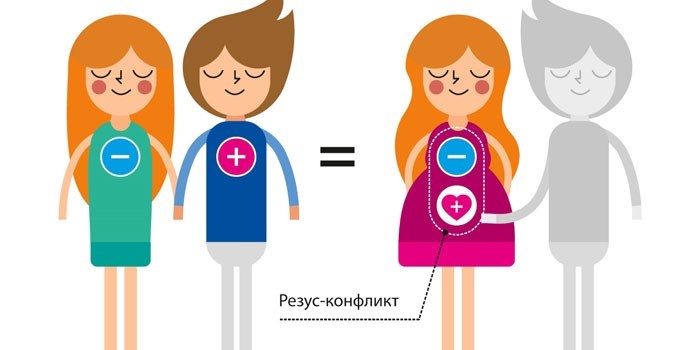 Резус-конфликт при беременности