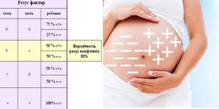 Вероятность резус-конфликта