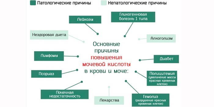 Основные причины повышения мочевой кислоты в крови и моче