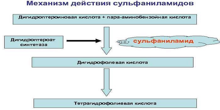 Принцип действия сульфаниламидов