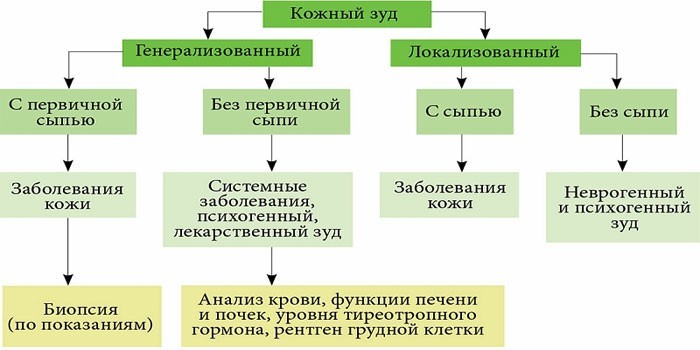 Классификация кожного зуда