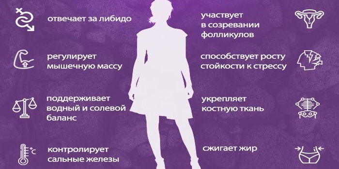 За что отвечает тестостерон в организме женщины