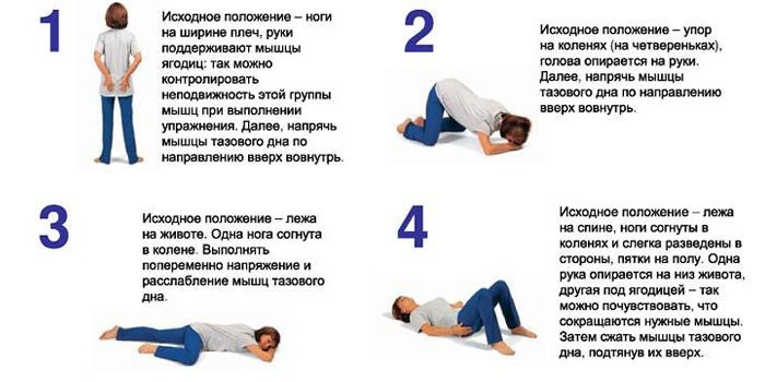 Упражнения Кегеля 