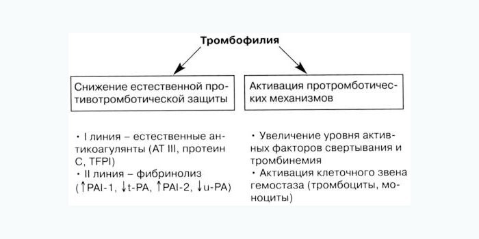 Определение тромбофилии
