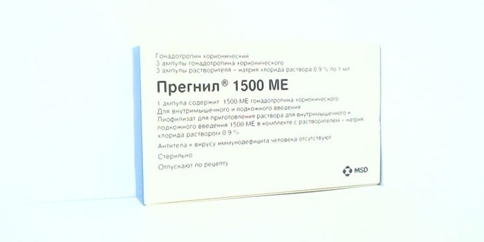 Препарат Прегнил
