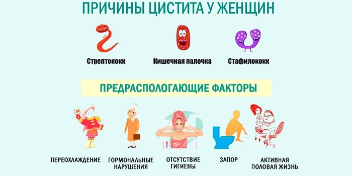 Причины и факторы риска воспаления мочевого пузыря