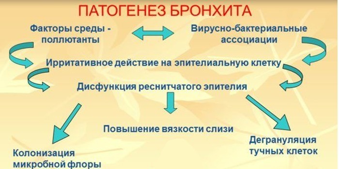 Патогенез болезни