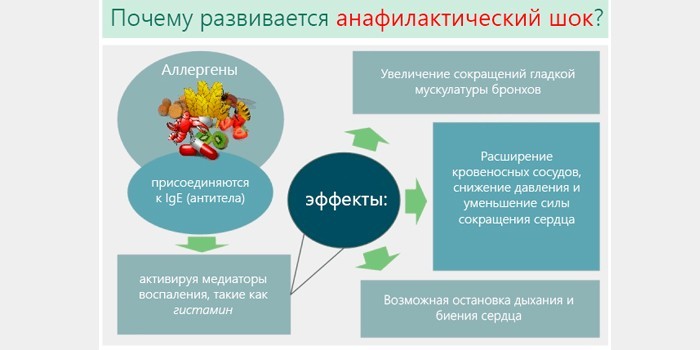Причины возникновения и развития