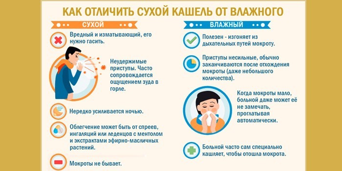 Отличия сухого и влажного кашля