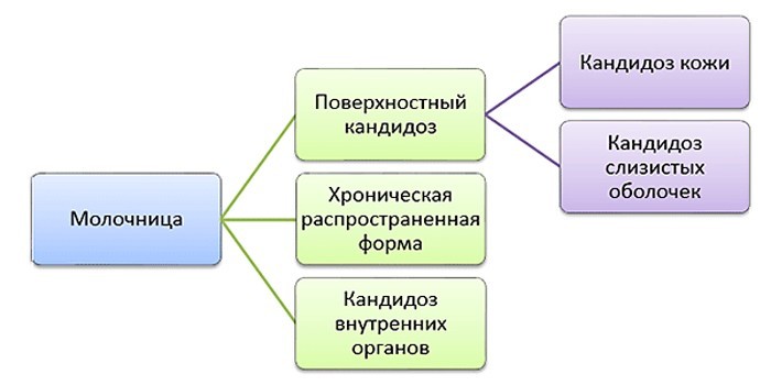 Виды кандидозов