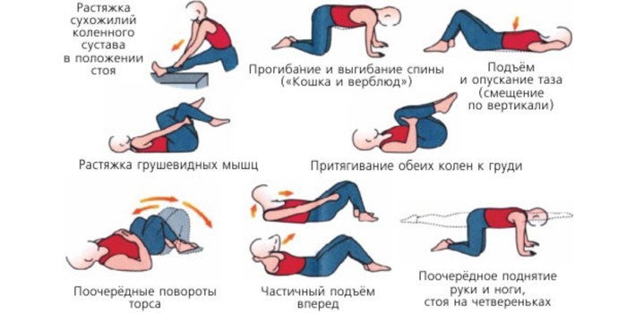Комплекс упражнений