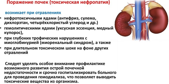 Токсическое поражение почек