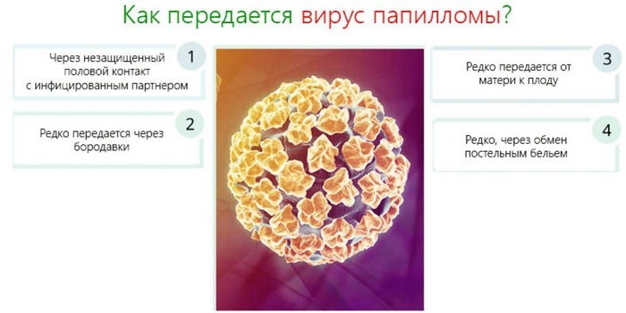 Пути инфицирования