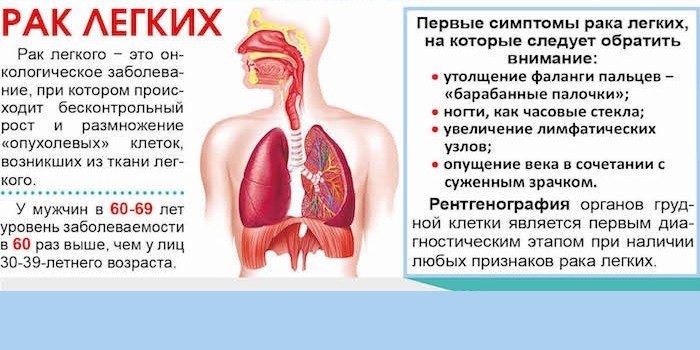 Первые признаки