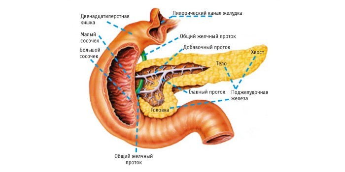 Панкреатит на схеме