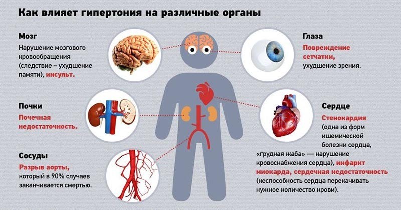 Влияние гипертонии на различные органы