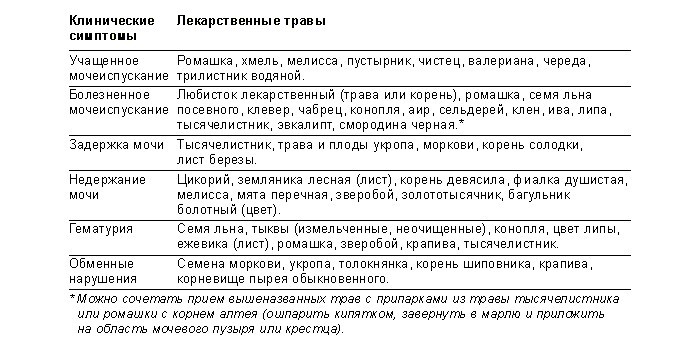 Лекарственные травы при цистите