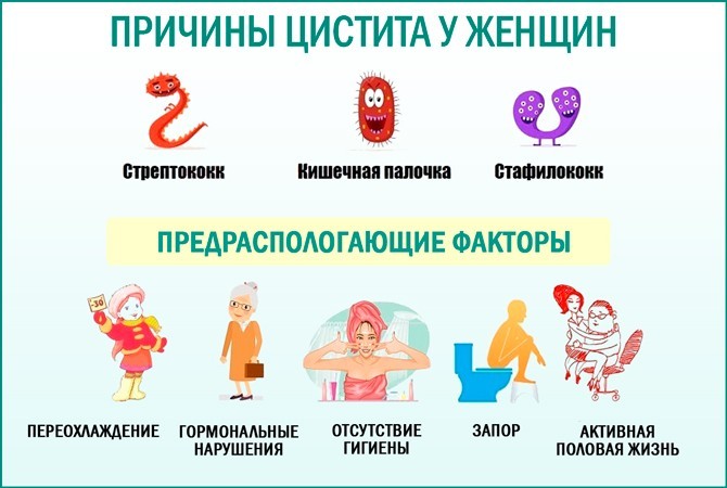 Причины цистита
