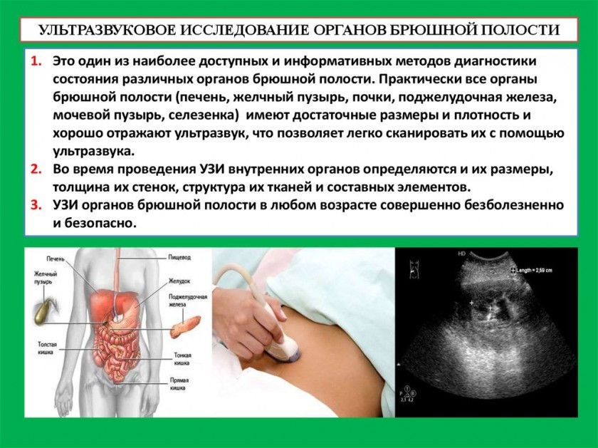 УЗИ органов брюшной полости