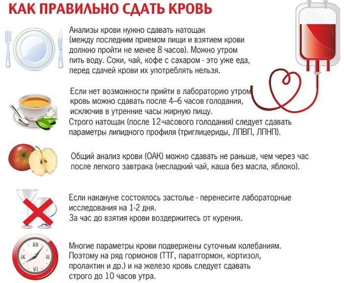 Как правильно сдать кровь