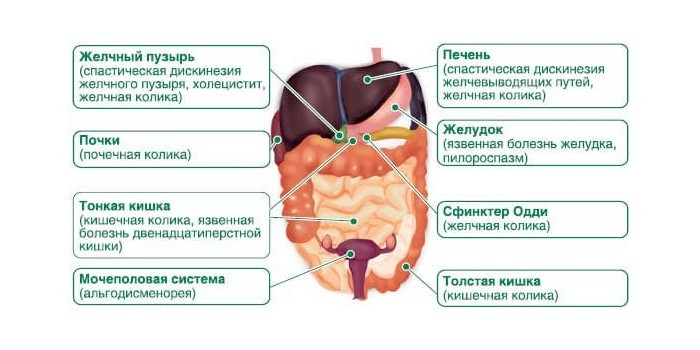 Механизмы болей в животе