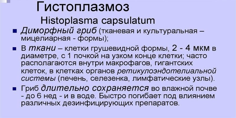 Виды грибков
