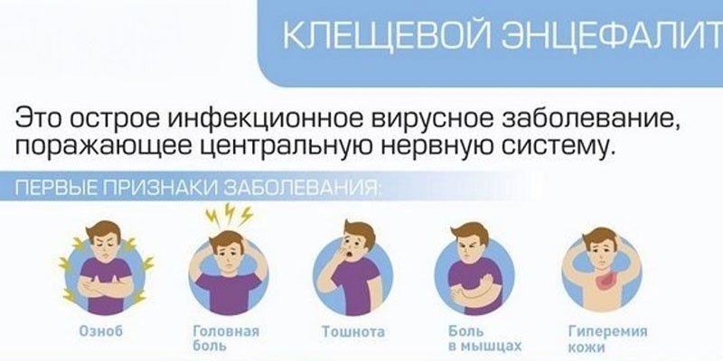 Признаки клещевого энцефалита