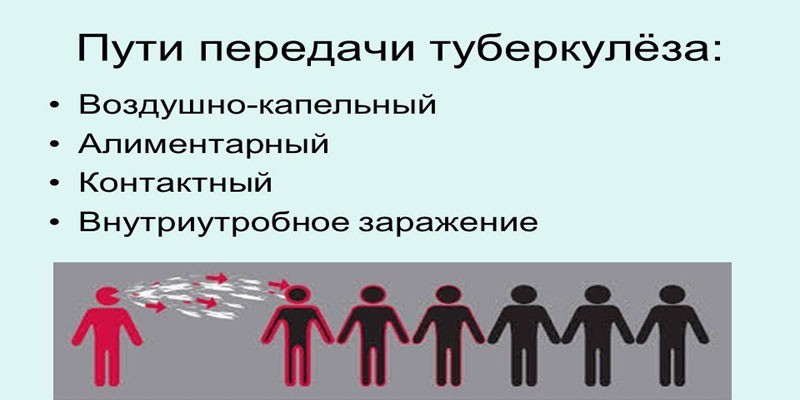 Пути заражения туберкулезом