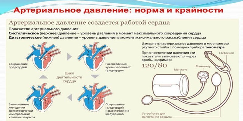 Показатели артериального давления