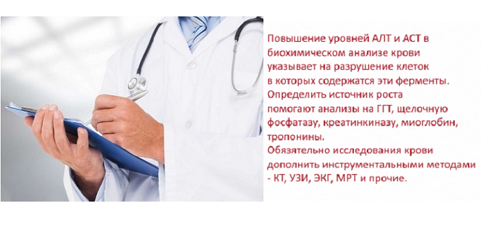 Повышенный АСАТ и АЛАТ