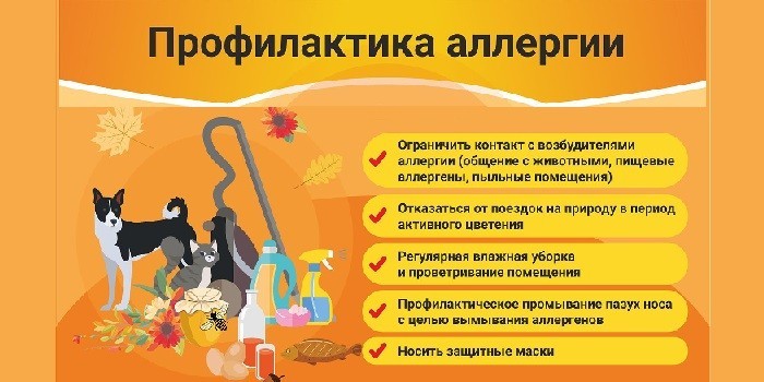 Профилактика аллергии