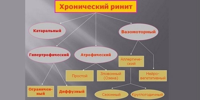 Виды хронического ринита