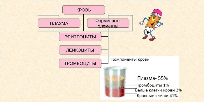 Элементы крови