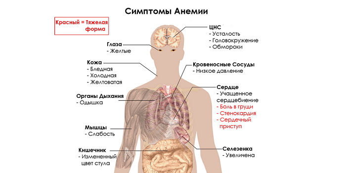 Симптомы анемии