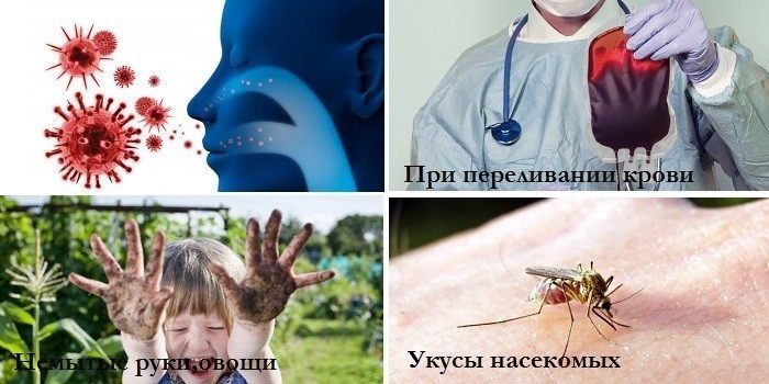 Вирусы, переливание крови, укусы насекомых и немытые руки