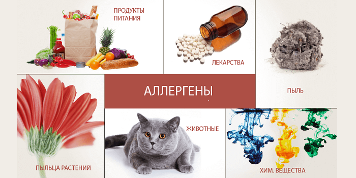 Самые распространенные аллергены