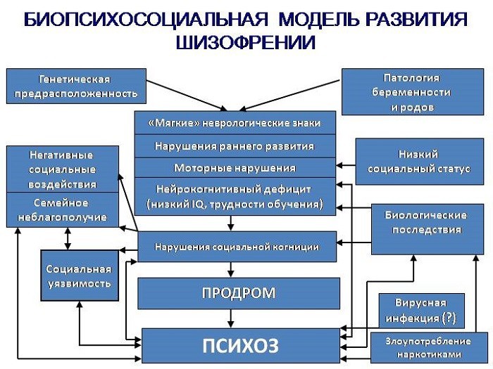 Биопсихосоциальная модель развития шизофрении