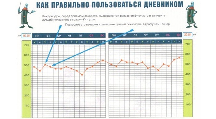 Как пользоваться дневником
