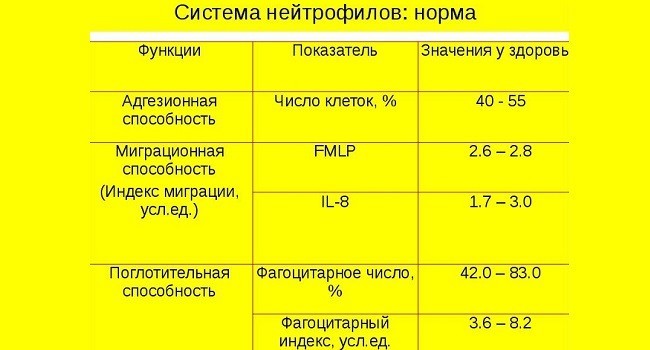 Норма нейтрофилов в организме