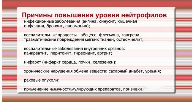 Причины повышения уровня нейтрофилов