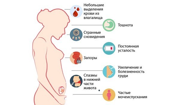 Причины болей в голове на ранних сроках беременности