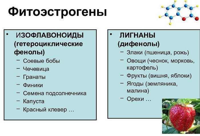 Растительные фитоэстрогены