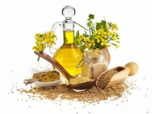 Горчичное масло - полезные свойства и противопоказания продукта