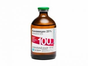 Канамицин – инструкция по применению и противопоказания